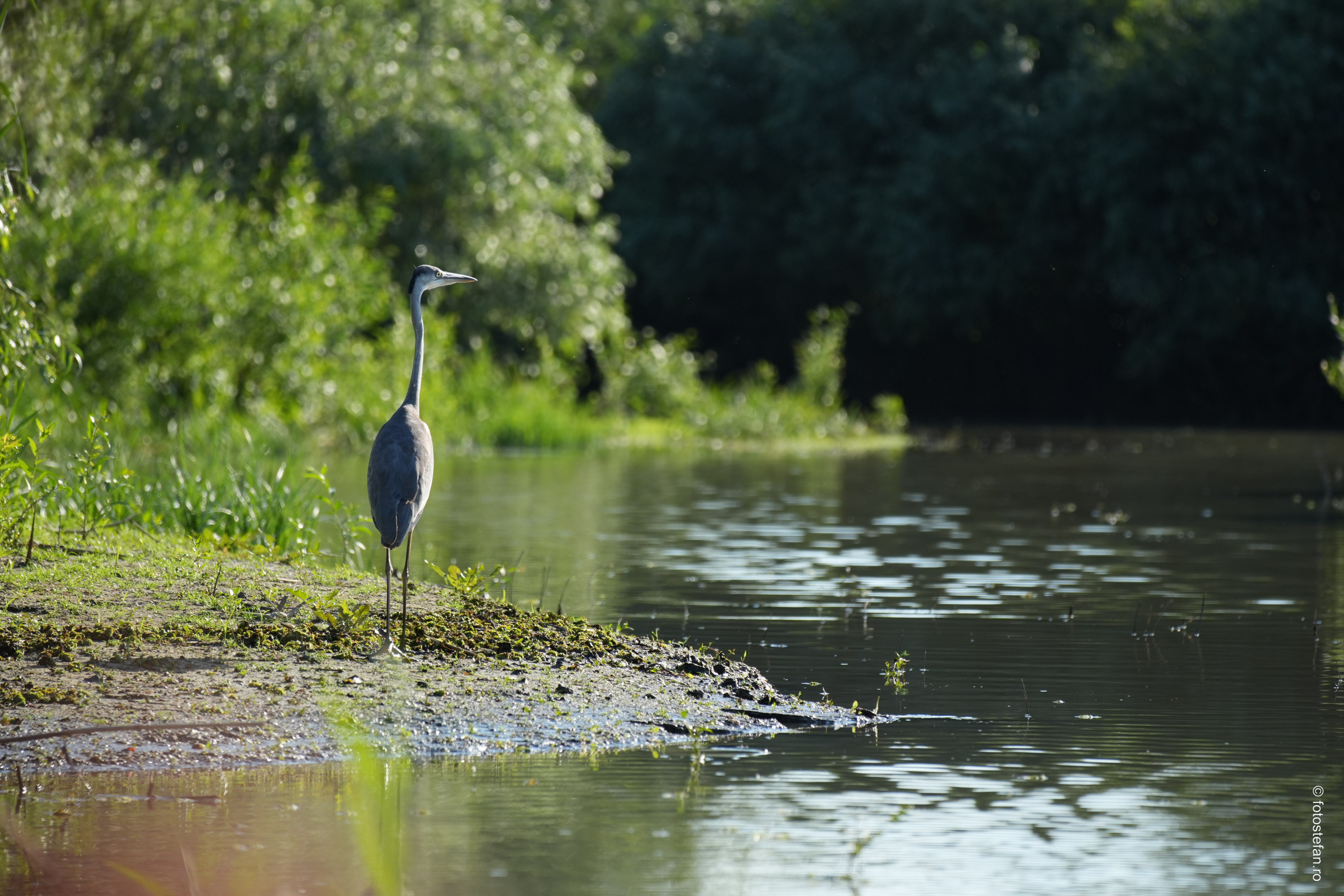 sony-70-200-mm-f4-oss-ii-test_06.JPG