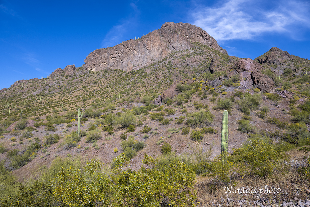 The north face of Arizona Mount Picacho