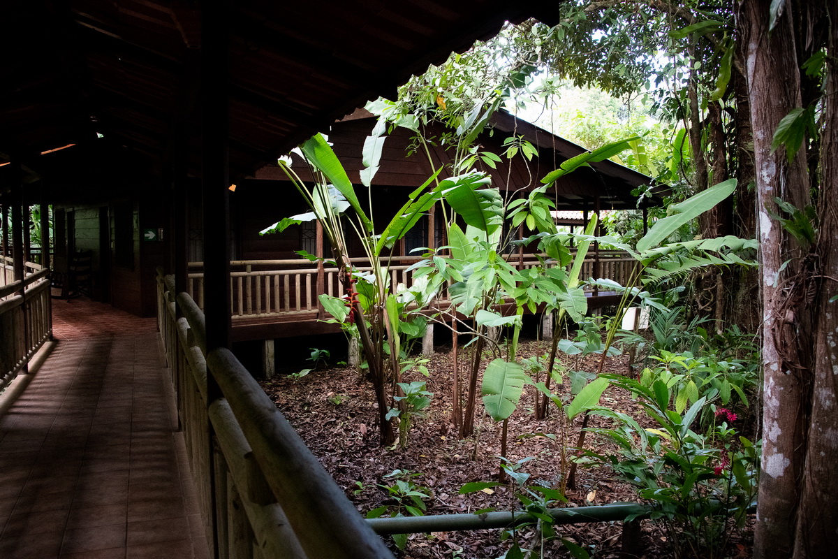 R_190308-237-Costa Rica - Pachira Lodge.jpg