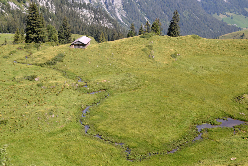 Grimmialp