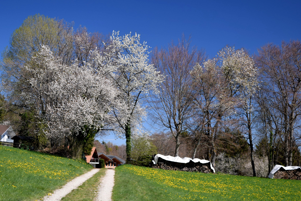 Le Vaud
