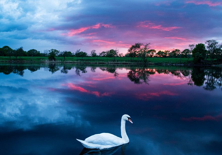 Plassey Sunset 