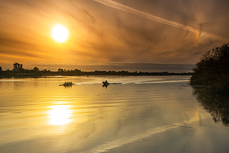 Rowing Crew Training at High Tide