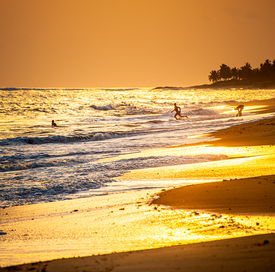 Sunset Swimmers