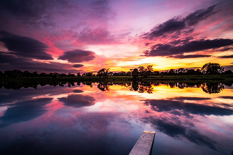 Summer Evening Sky