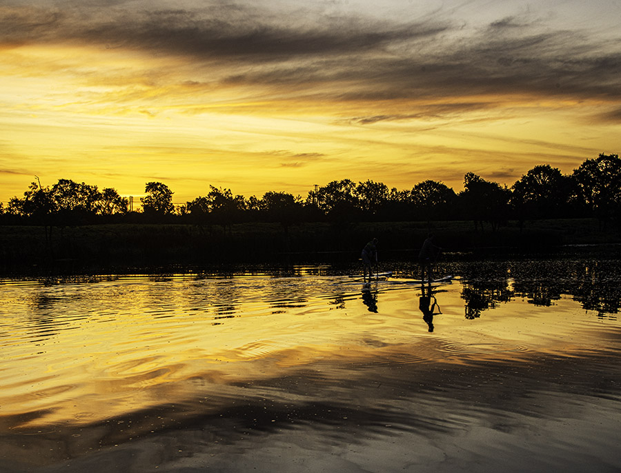 Paddle-boarders at Sunset