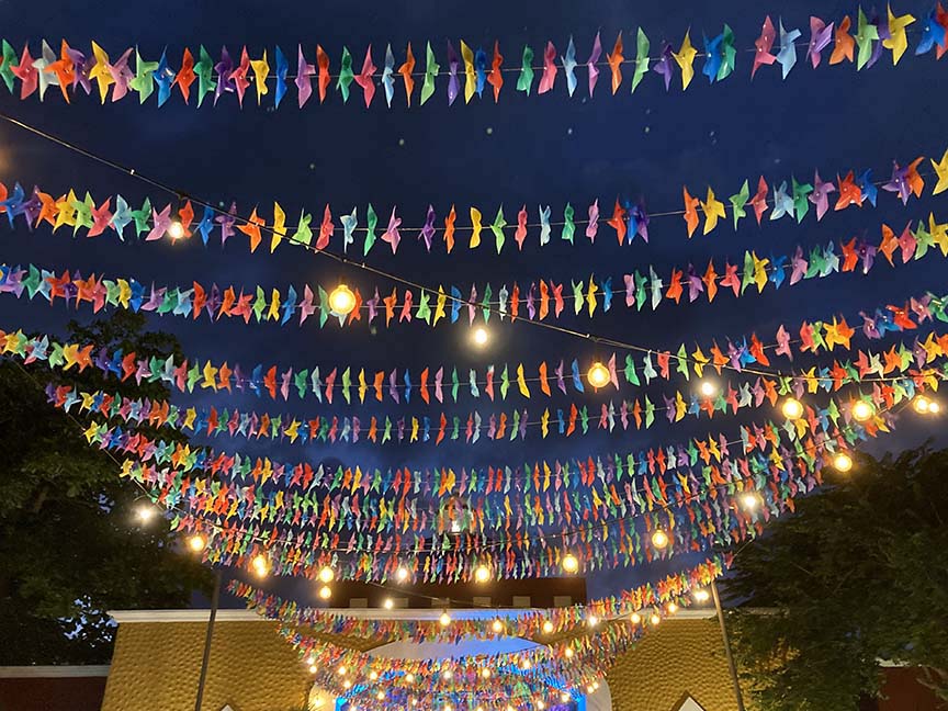 Night colour 3080573.JPG