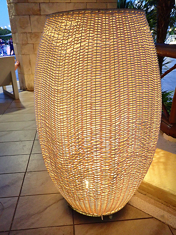 Light 3090035.JPG