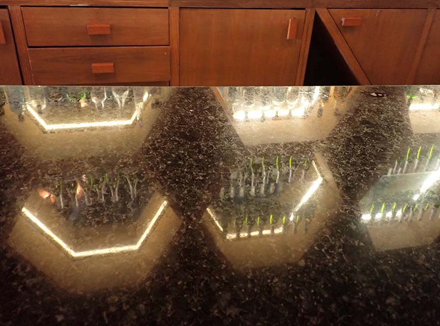 Reflect 3140072.JPG