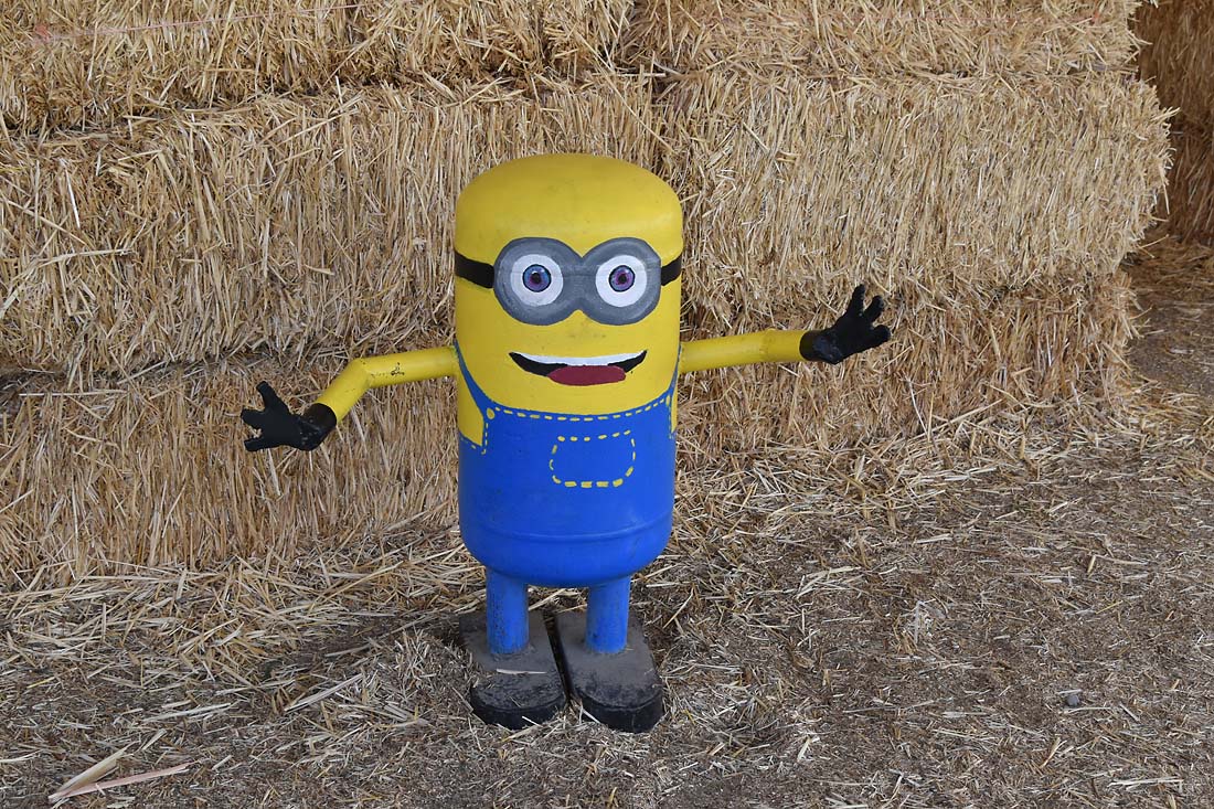 Minion By the Maze