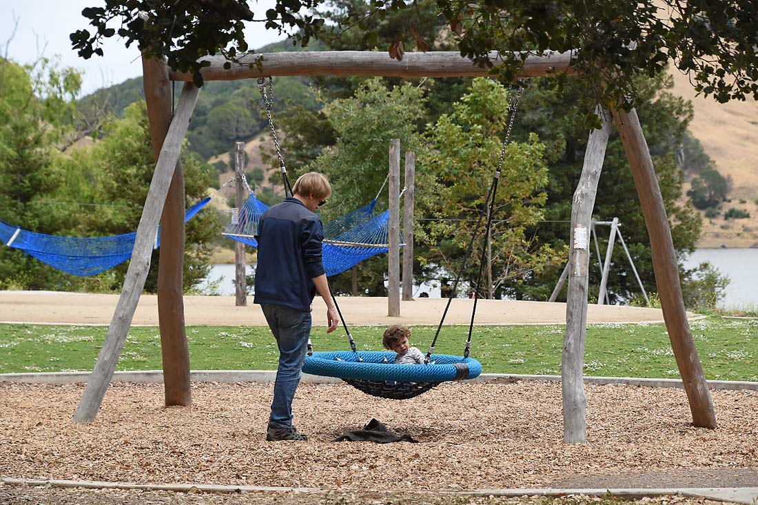 In the Hammock Swing