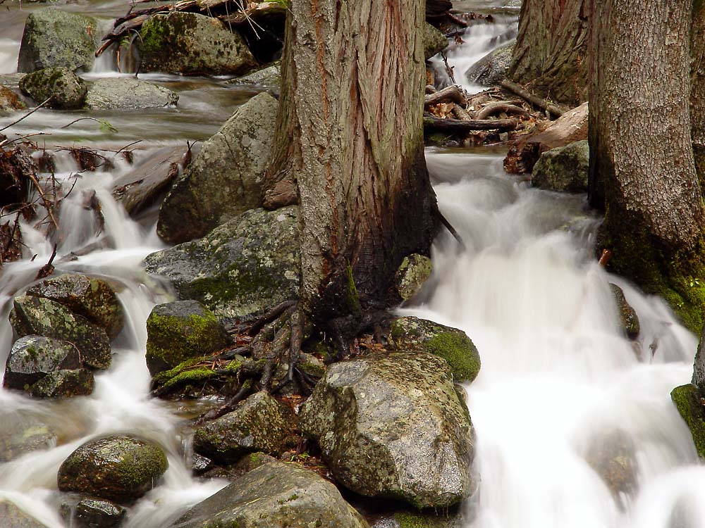 Bridal Veil Creek