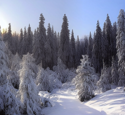 Winter Silence.jpg