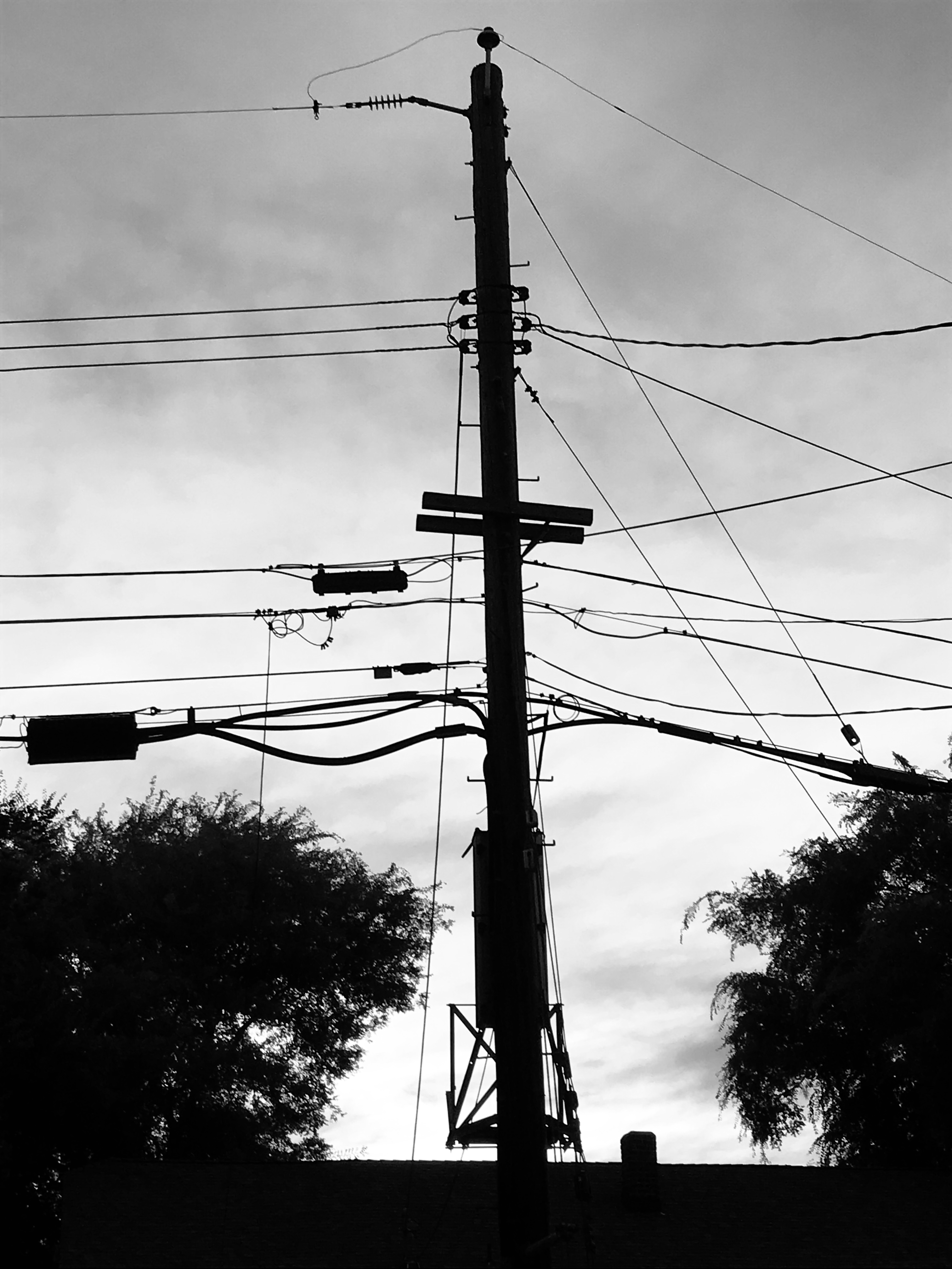 IMG_0856.jpeg