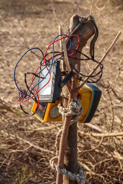Camp Lightpost