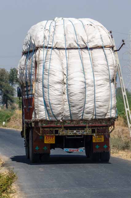 Truck Loaded with Cotton