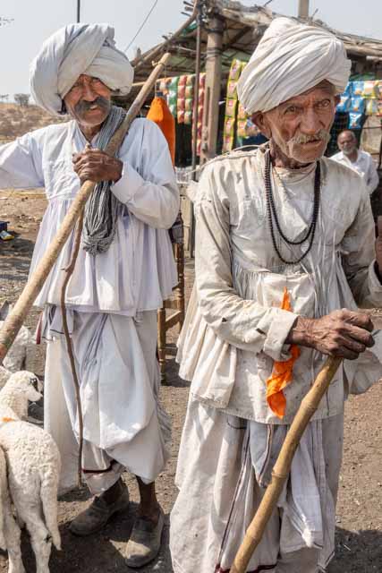 Rabari Shepherds