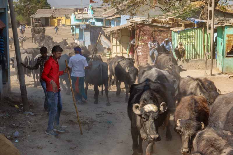 Traffic Jam