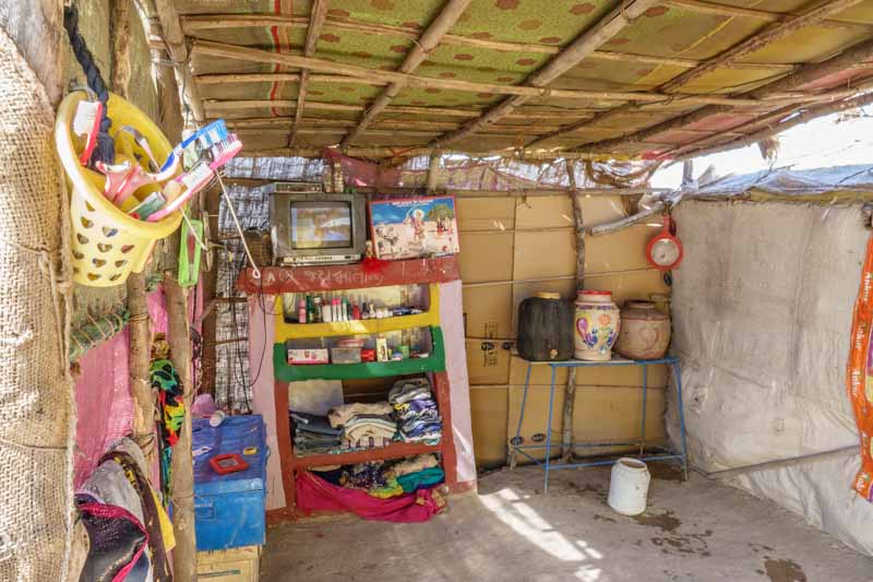 Tooth Brushes and Living Area
