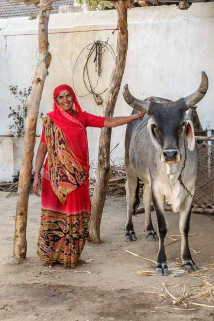 Rabari Woman with Her Prized Possession
