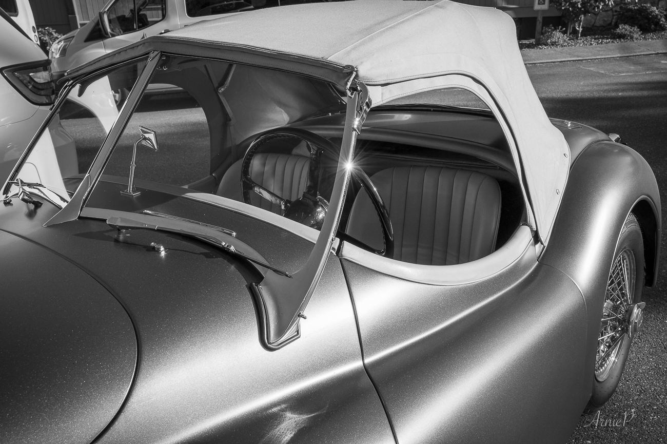 54 Jag