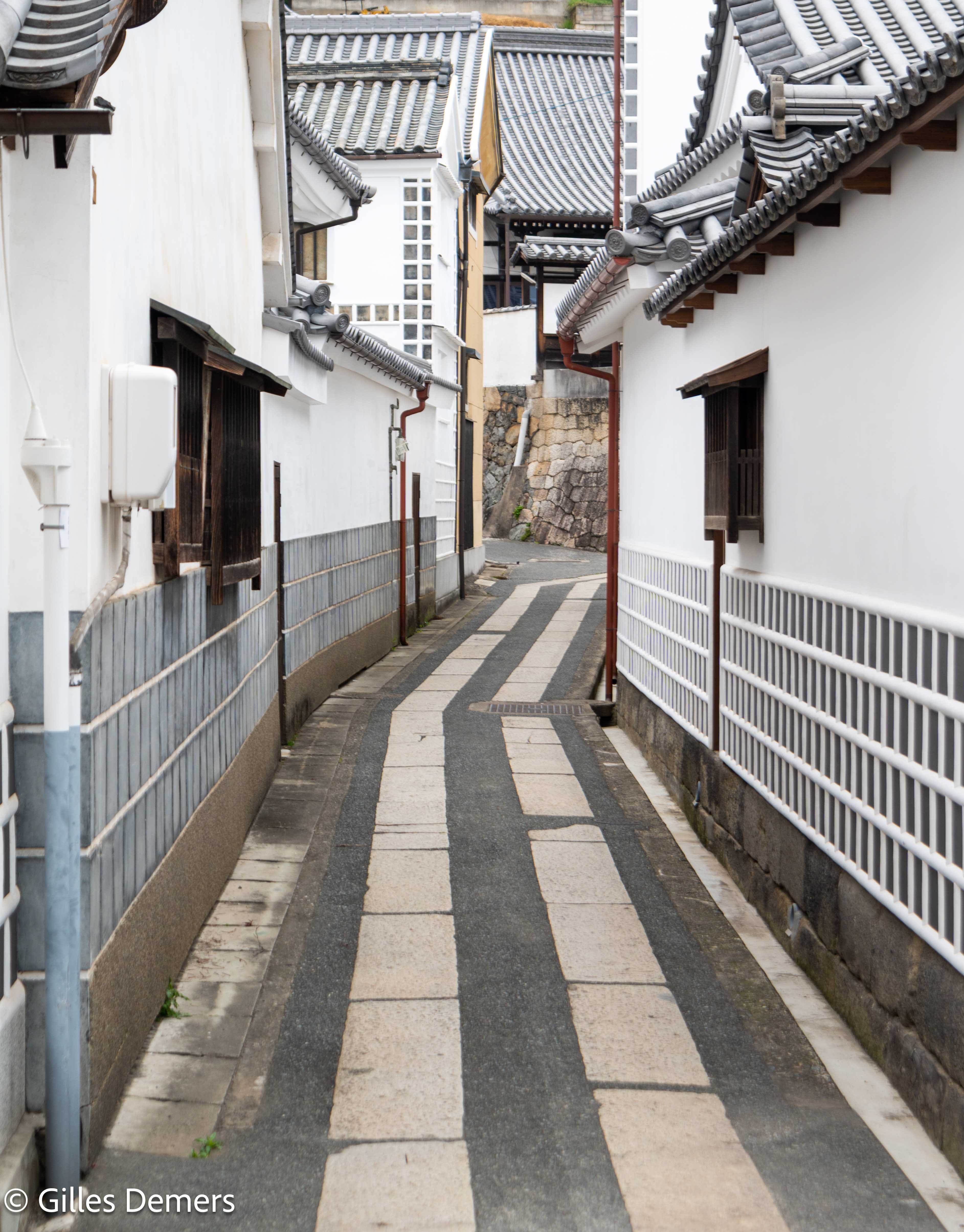  Visite du quartier historique Hurashiki Bikan