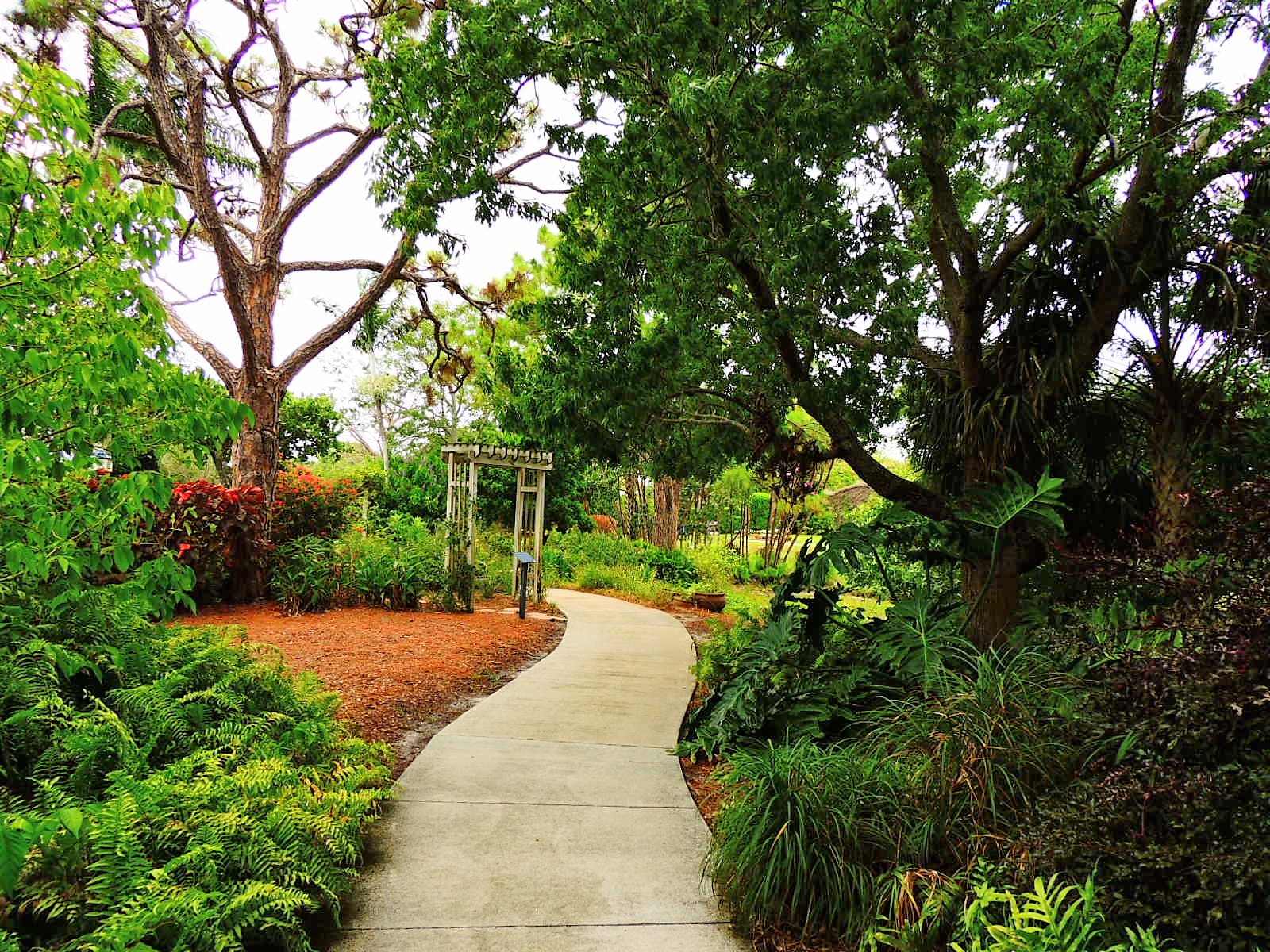 Mounts Botanical Garden