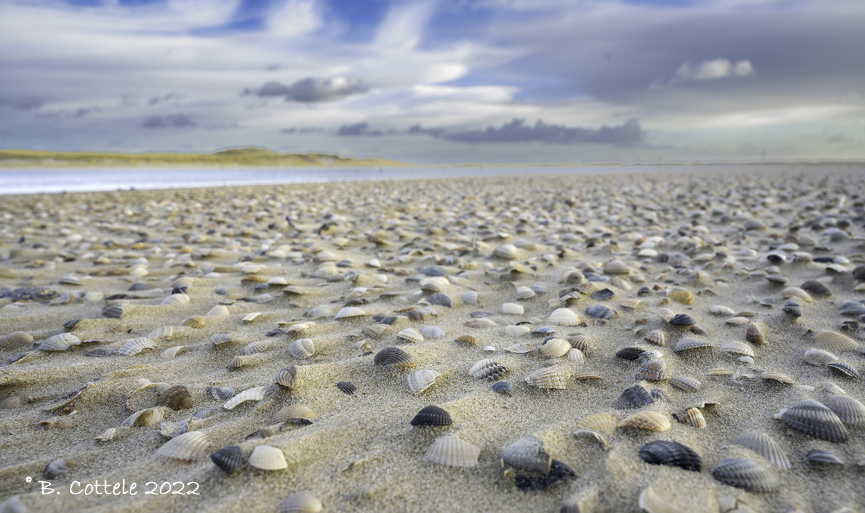 Schelpenstrand - Shell beach