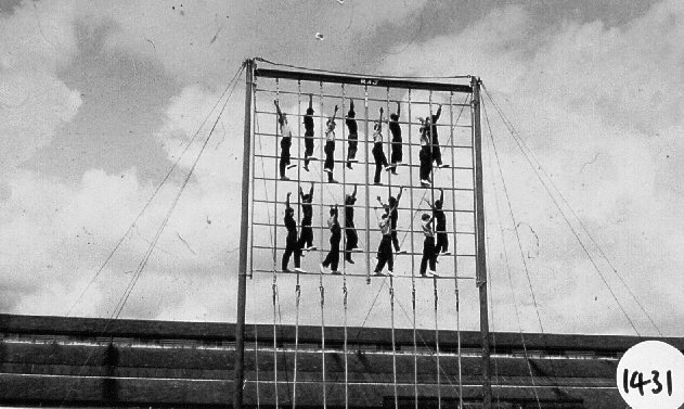 UNDATED - DICKIE DOYLE, WINDOW-LADDER, A FISK PHOTO, 8..JPG