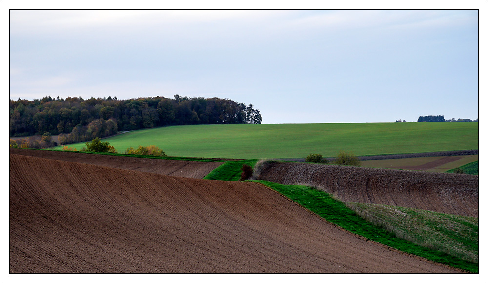 Fading Light ...