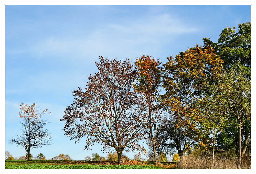 Autumn ...