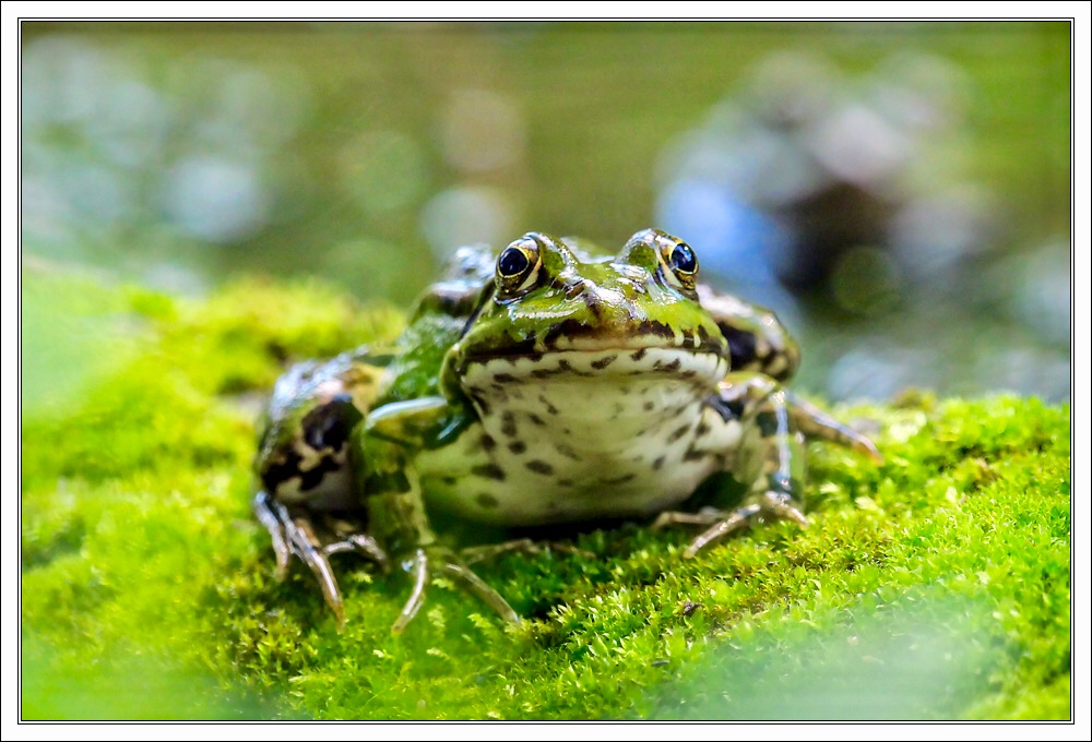Face to Face ...