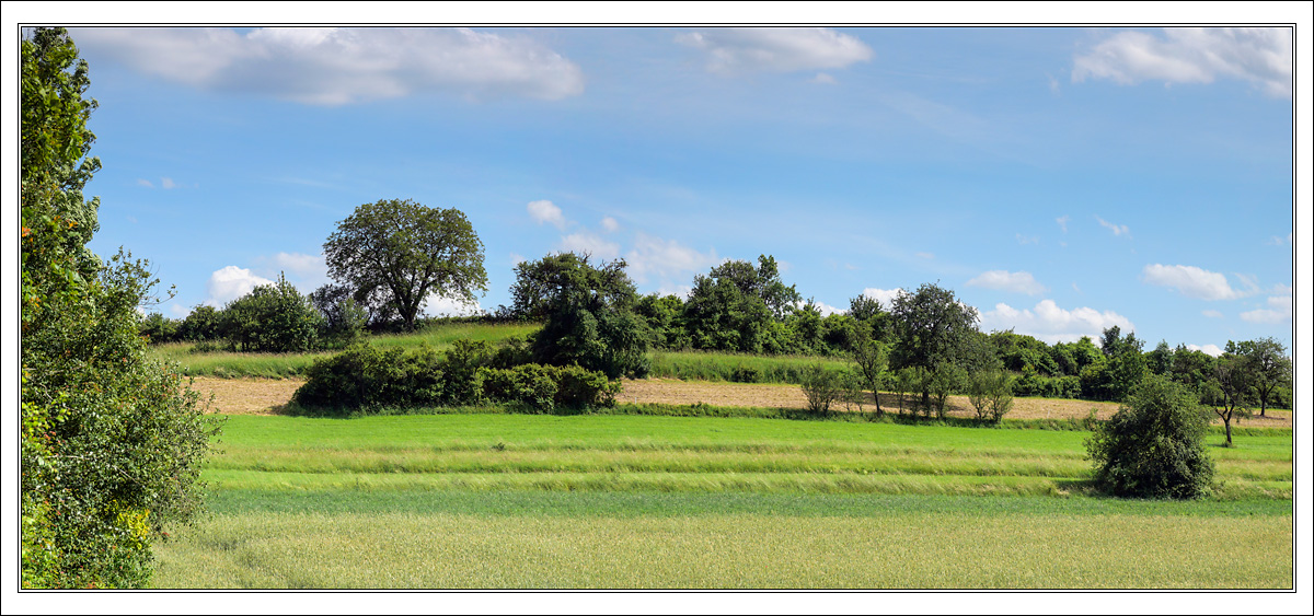 Rural Franconian Landscape ...