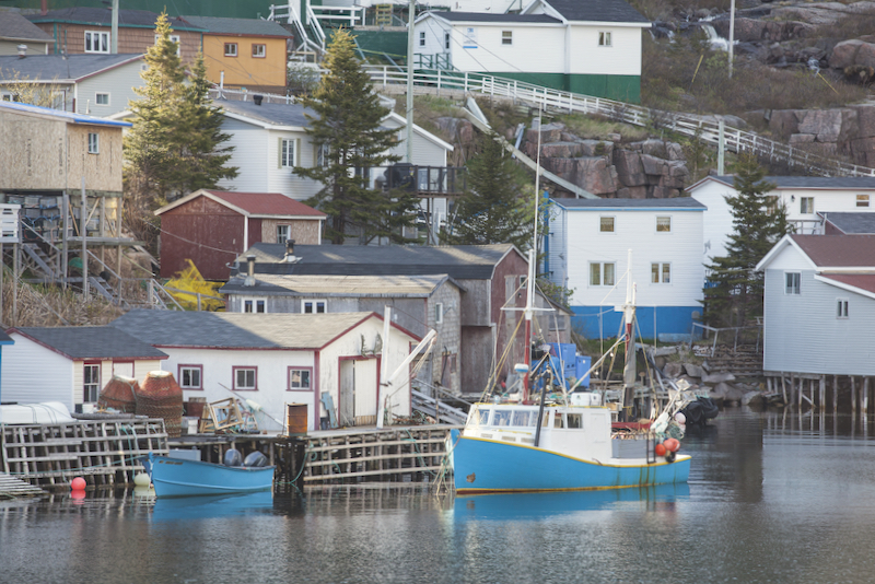 Darrel Giesbrecht: Francois, NL