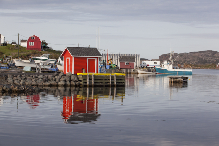 Newfoundland Colours