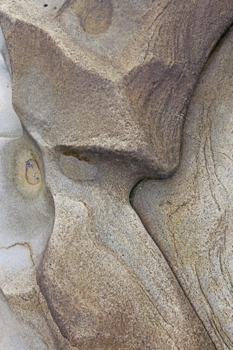 Rock Bone