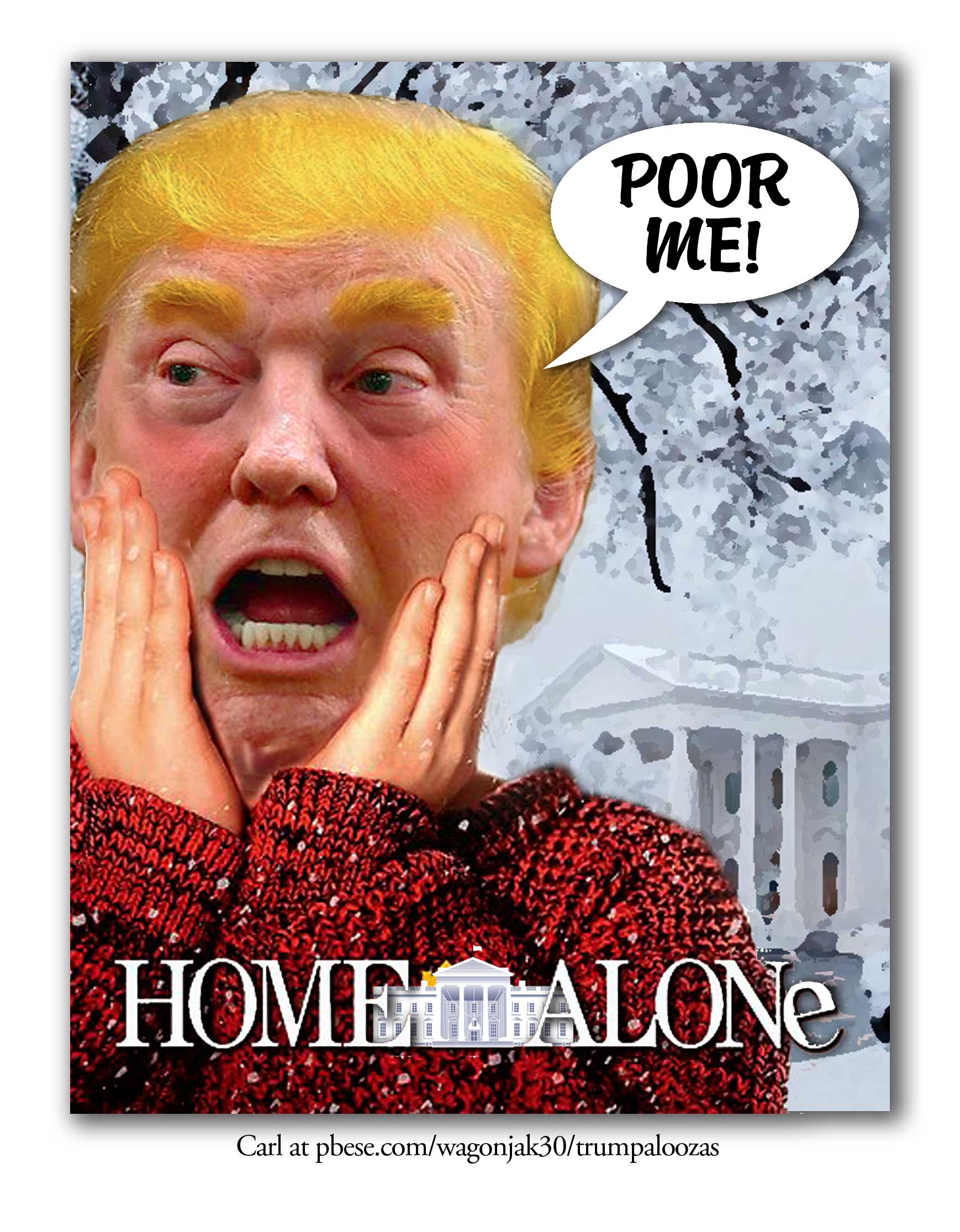 Home Alone Donny