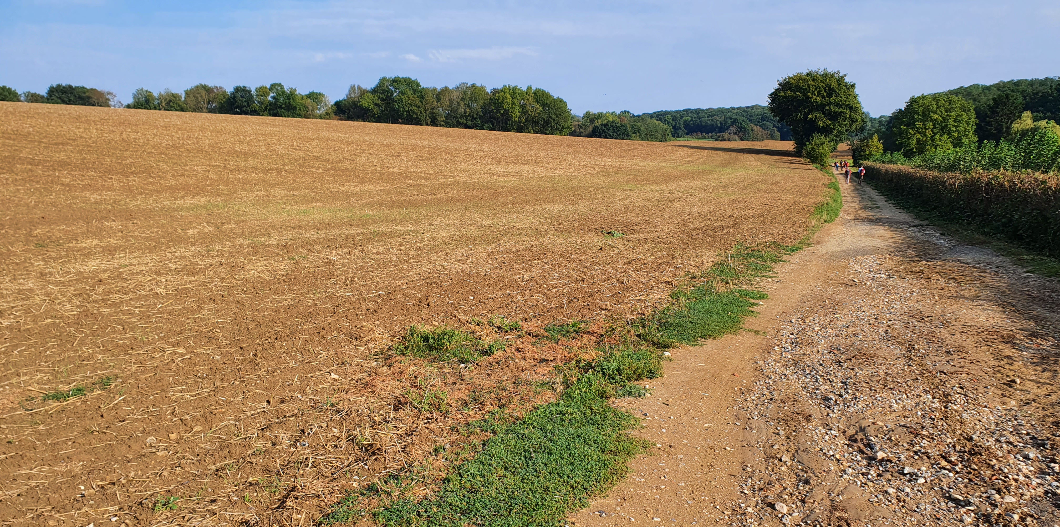 2020-09-20 Gnicourt 10h27.jpg