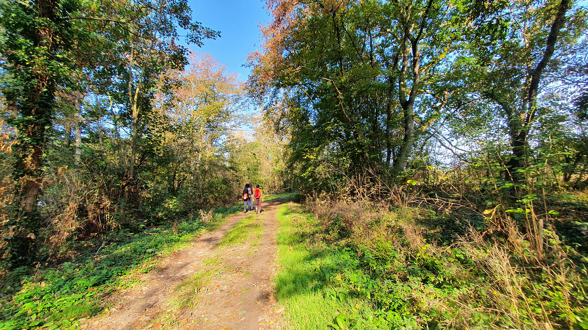 2020-09-20 Gnicourt 10h54.jpg