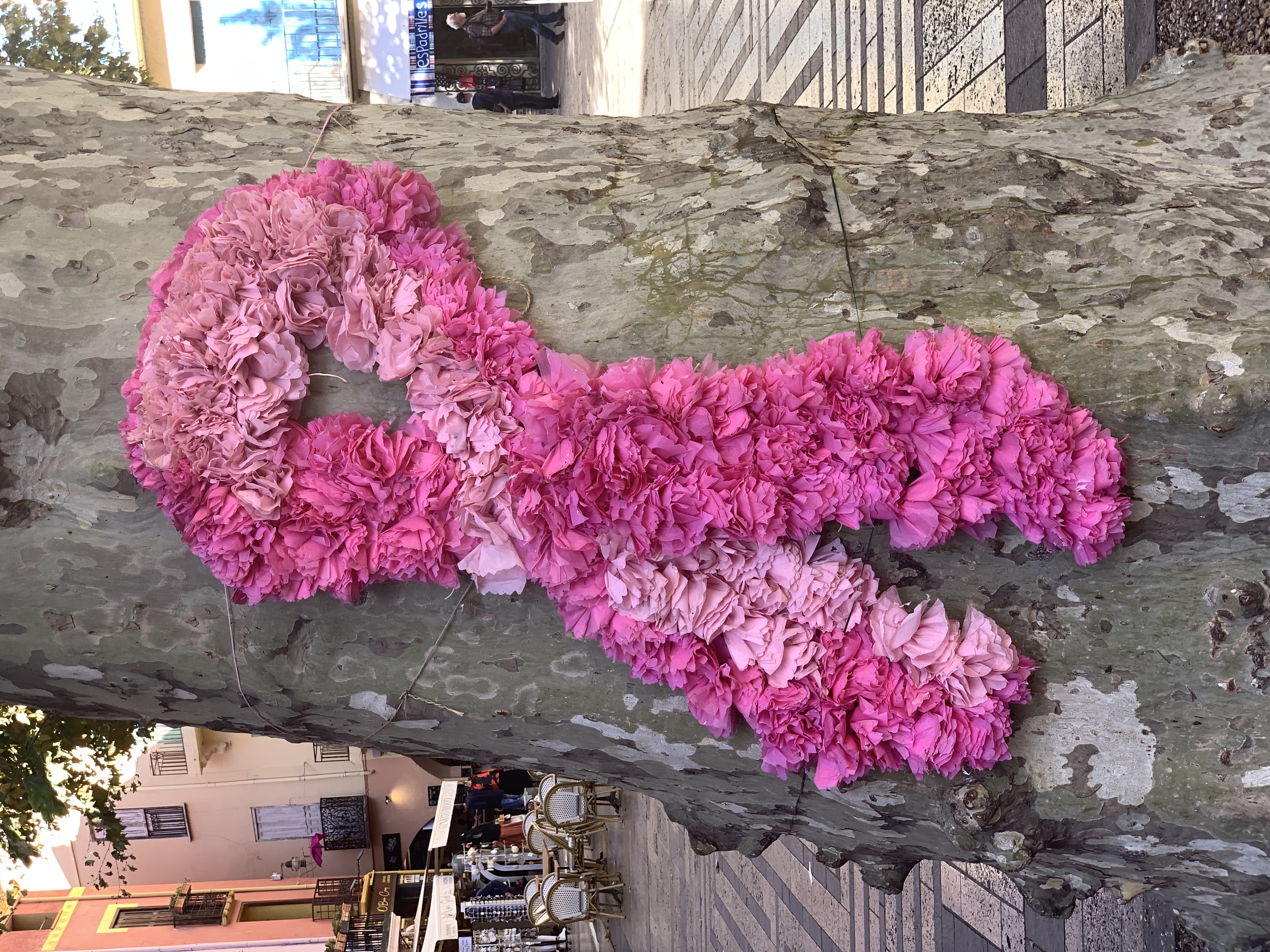 Octobre rose  Collioure 