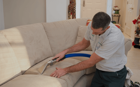 Finding for the best Carpet Cleaning Services Toledo | Steamextoledo.com