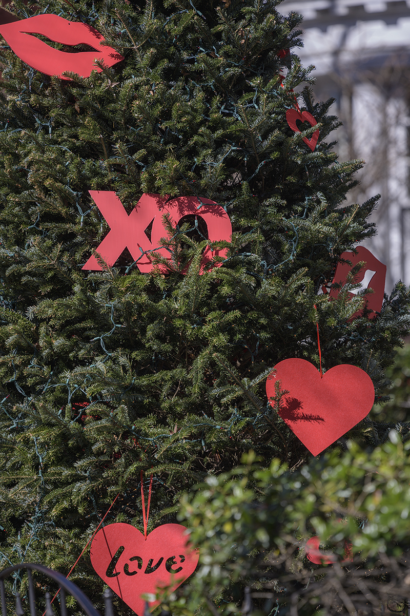Happy Valentines Day!