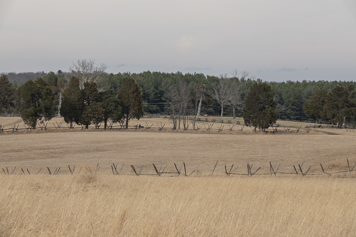 Timeless landscape