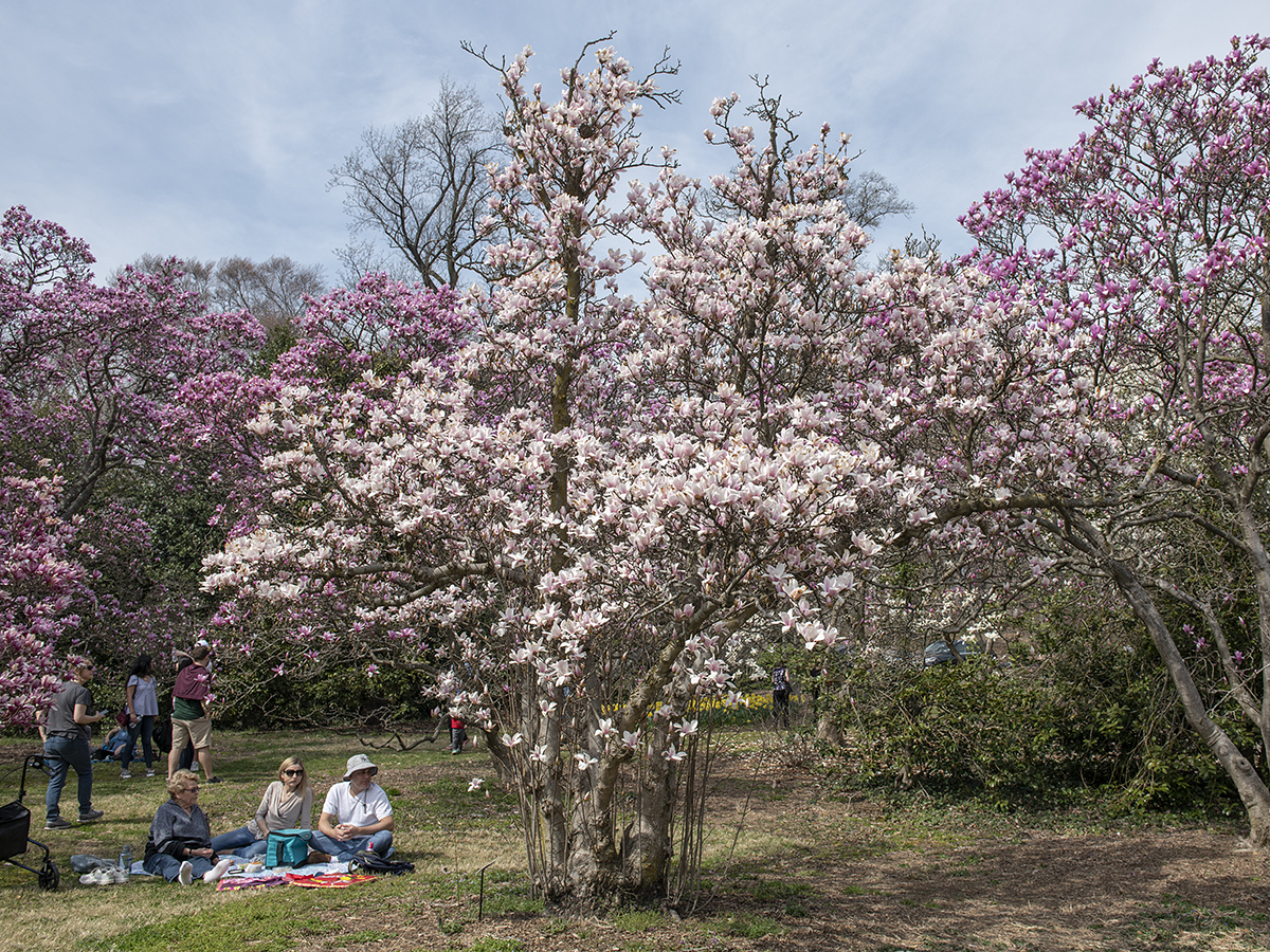 Place for a picnic