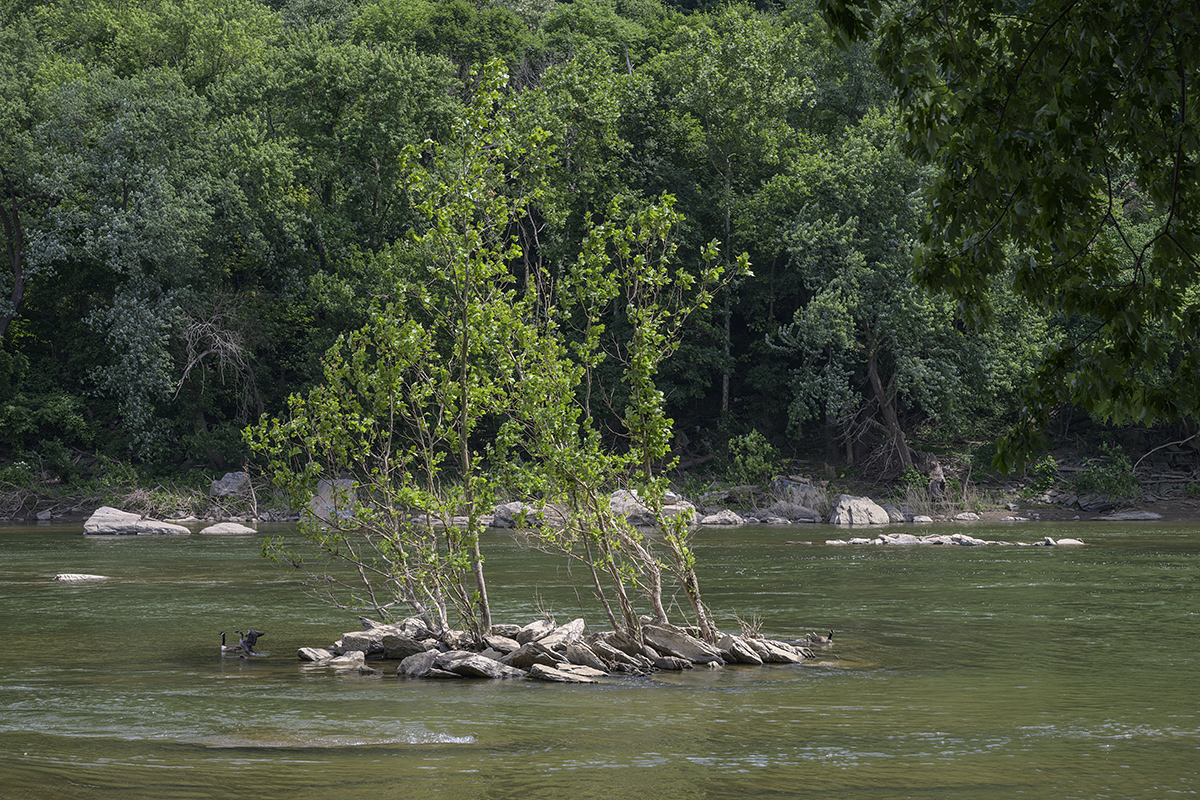 Shenandoah River