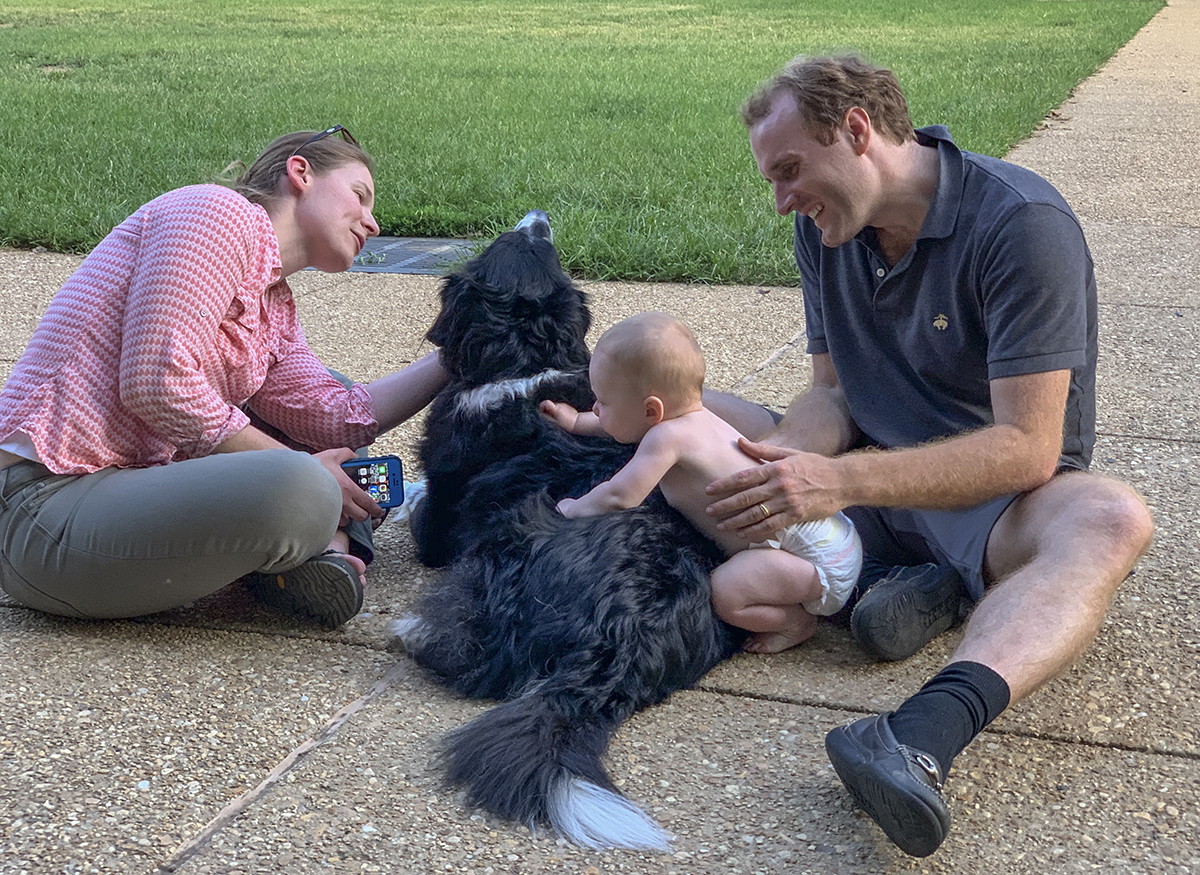 Big dog fan