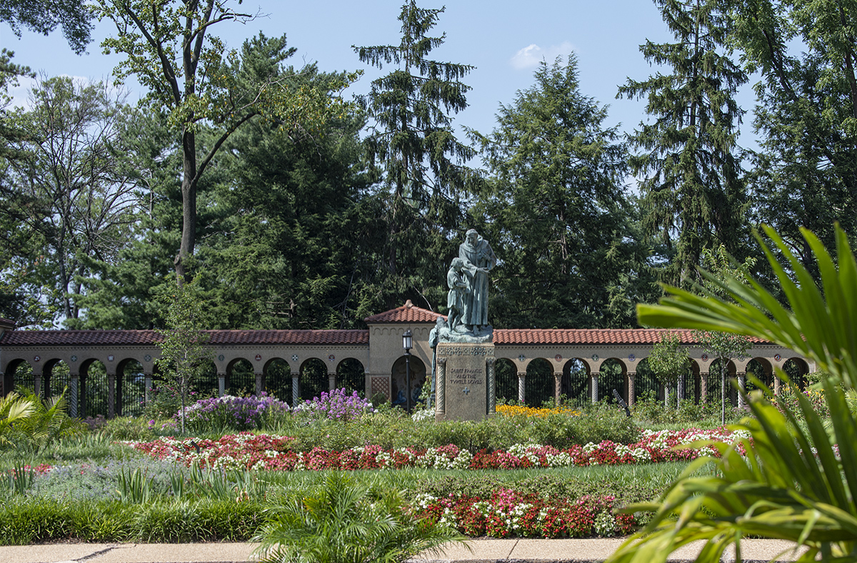 Butterfly heaven at the Franciscan Monastery