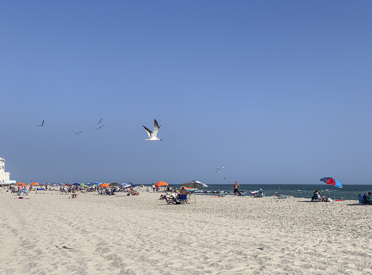 Beach at Cape May