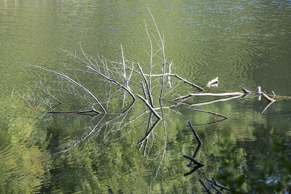 Great Bay National Wildlife Refuge, Portsmouth