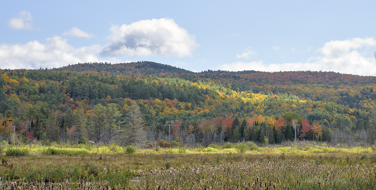 Fall color in the Adirondacks